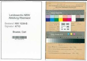 Entnazifizierung Carl Bruese , geb. 28.10.1900 (Landwirt)