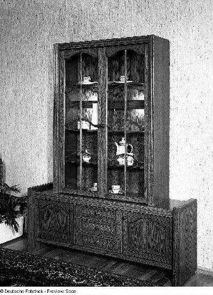 Vitrinenschrank Rudelsburg