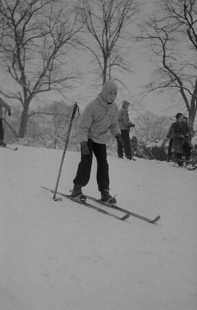 Kinder beim Ski- und Schlittenfahren, Junge auf Skiern bei der Abfahrt