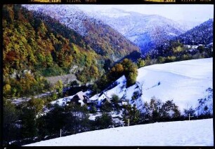 Buchenbach: belaubtes und verschneites Höllental, mit Falkensteig und Nessellachen, rechts Schneefeld