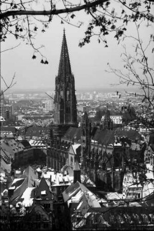 Freiburg: Münster vom Kanonenweg