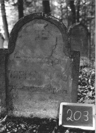 Grabstein 202 (Index: 99894767) Material: Sandstein Zustand: teilweise abgeblättert Maße HxBxT: 80x56x9 cm Beschreibung: Stele mit eingezogenem Rundbogenabschluss: Grabstein 202 (2)