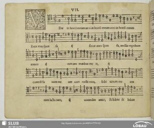 VII Veni in hortum meum