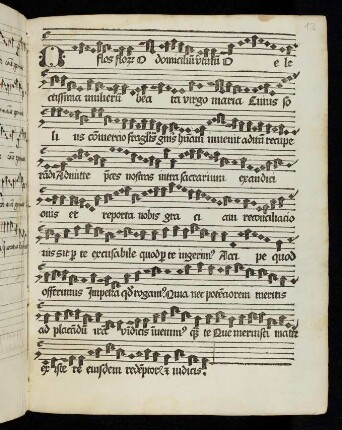13r O flos florum, o domicilium virtutum (Einblattdruck)