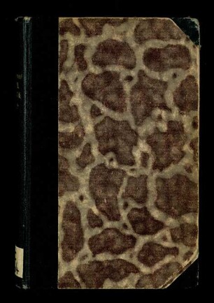 Vita Nuova di Dante Alighieri