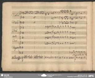 Cavatina: "Bugiarde son lepere"