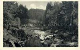 Ansicht aus dem Gottleubatal (Erzgebirge)