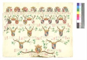 Fugger, Grafen (Ahnentafel)