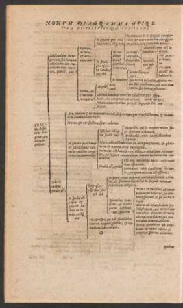 Nonum Diagramma Spirituum Distributionem Continens.