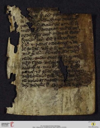 Breviarium Cisterciense