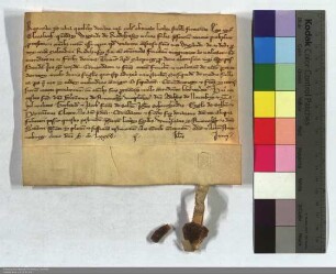Elisabeth von Radenhausen vermacht dem deutschen Hause bei Marburg ihren Antheil der Mühle zu Radenhausen.