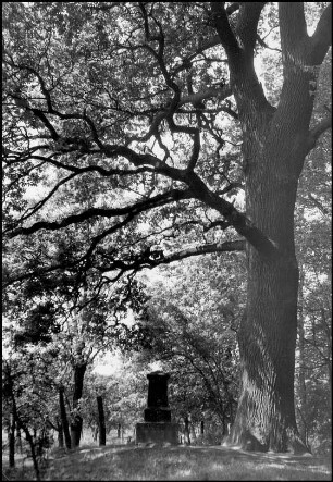 Marienwerder, Gedenkstein im Wald