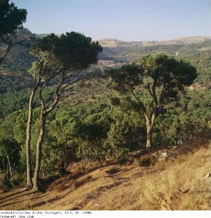 Libanon: Landschaft im Libanon