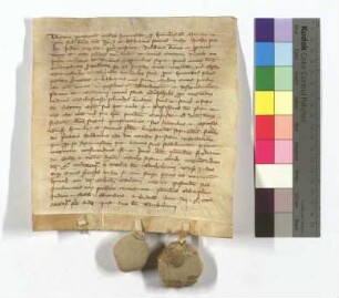 [Text = U / 1336 August 23]. Mit Eid besagt vor Salmannus, Kämmerer, und Richter Scherplinus. "1336 feria secunda post diem beati Bartholomei."