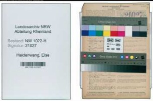 Entnazifizierung Else Haldenwang , geb. 14.11.1903 (Sekretaerin)
