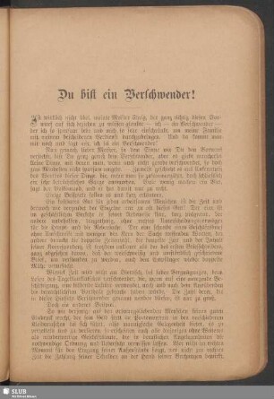 Du bist ein Verschwender!