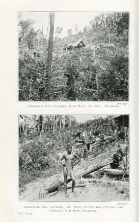 Aboriginal hill clearing, with huts, Ulu Batu, Selangor. Aboriginal hill clearing, with mixed cultivation (Tapioca and Bananas), Ulu Batu, Selangor