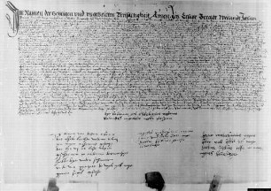 Testament von Bolant, Witwe von Johan, Elsabe Brechte
