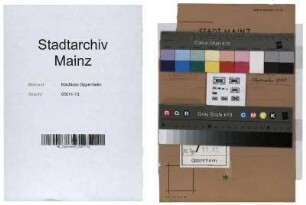 Wiederaufbauplanungen, Organisation der Bauverwaltung