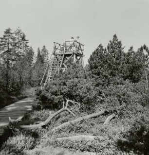 Aussichtsturm, Johanngeorgenstadt