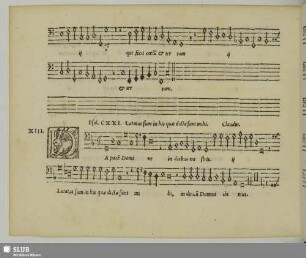 XIII. Sermisy, Claudin de: Da pacem Domine