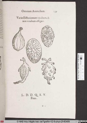 Variae Effluxionum vitalium, & non vitalium effigies.