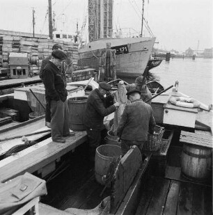 Fischereigenossenschaft Stralsund (FGS). Verladen des Fanges der "Hein Dornquast"