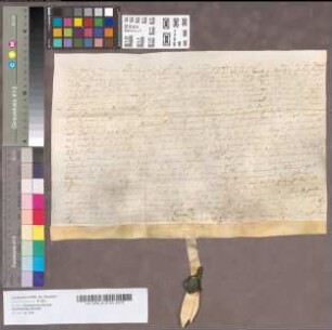 Lehnbrief in betref der Schwarzmans Hove oder Schwarten Erbe [Kirchspiel St. Mauritz vor Münster].