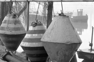 Winterstimmung im Rheinhafen Maxau