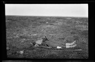 Nicht identifizierbare Gegend in Nordfrankreich oder Belgien: gefallener Soldat auf dem Feld, mit Strümpfen, daneben sein Gewehr (Seitansicht) ("Gefallene")