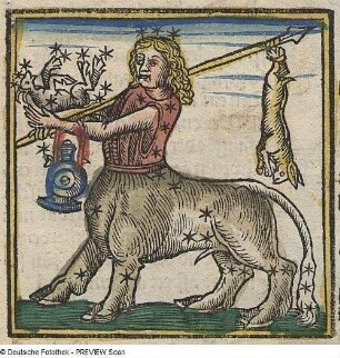 Sternbild Zentaur