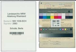 Entnazifizierung Berta Schulte , geb. 24.09.1909 (Studienraetin)