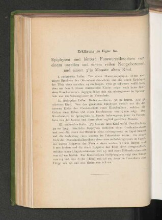 Erklärung zu Fig. 80.