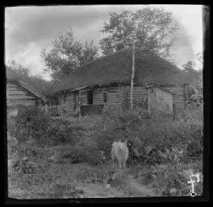 "Panjehaus [Soldatensprache: Panje = polnischer oder russischer Bauer, aber auch russischer Soldat], in dem ich in Jermutowzy (=Hirmantaŭcy, Weißrussland) wohnte", im Vordergrund der Garten und ein Hund