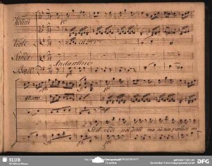 Cavatina: "Se il vedi poi dirli"