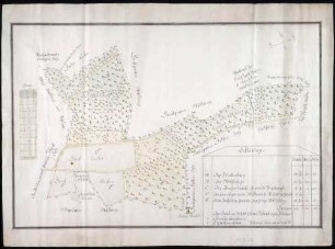 Waldung "Schellenberg" Maßstab ca. 1 : 2000 col. handgez.