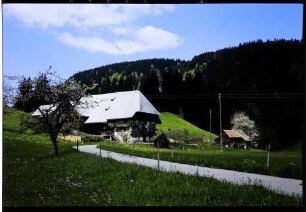 Breitnau: Schwarzwaldhof, Vordergrund Weg zum Hof