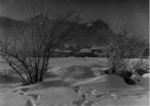 Oberbayern. Wintermorgen bei Garmisch. Spuren im Schnee