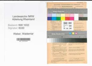 Entnazifizierung Waldemar Weber , geb. 24.11.1919 (Kaufmann)