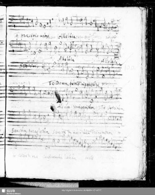 100 Iacobus Gallus: Te Deum patrem