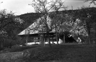 Glotterbad: Schwarzwaldhaus mit Schieferdach und Blüten