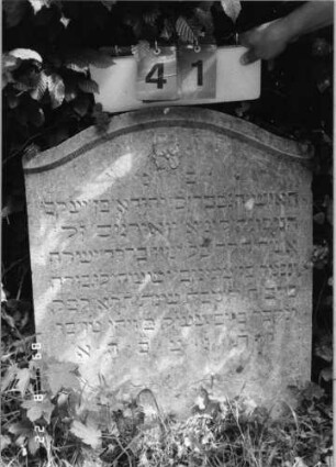 Grabstein 41 (Index: 99796349) Material: Sandstein Zustand: gut Maße HxBxT: 94x63x11 cm Beschreibung: Stele, Konvexbogenabschluß mit kleiner Verdachung Symbolik: Blüte: Grabstein 41 (Nachholaufnahme)