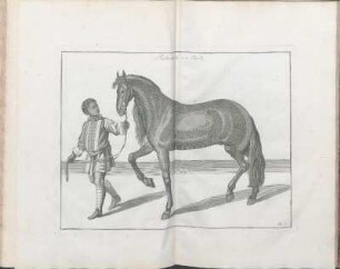 No. 4. Machomilia ein Türck.