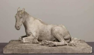 Liegendes Pferd
