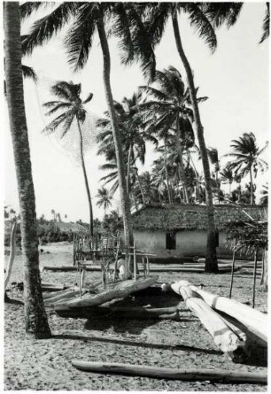 Pernambuco, Palmen, Bootsbauer bei der Arbeit