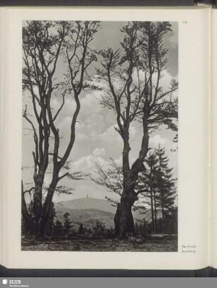 Der Große Inselsberg