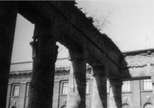 Blick auf zerstörte und zugewachsene Säulen des Neuen Museums