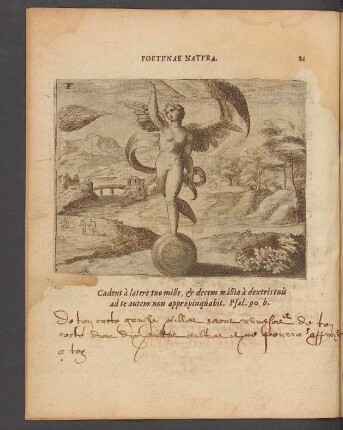 21. Fortunae natura.