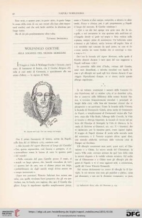 2: Wolfango Goethe : alla locada del Signor Moriconi