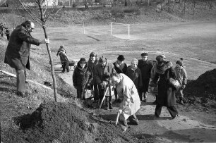Spende von zwölf jungen Bäumen an die Stadt Karlsruhe durch das neu eröffnete Bekleidungshaus Peek & Cloppenburg